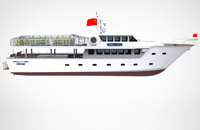 110尺远海钓鱼艇(铝合金)